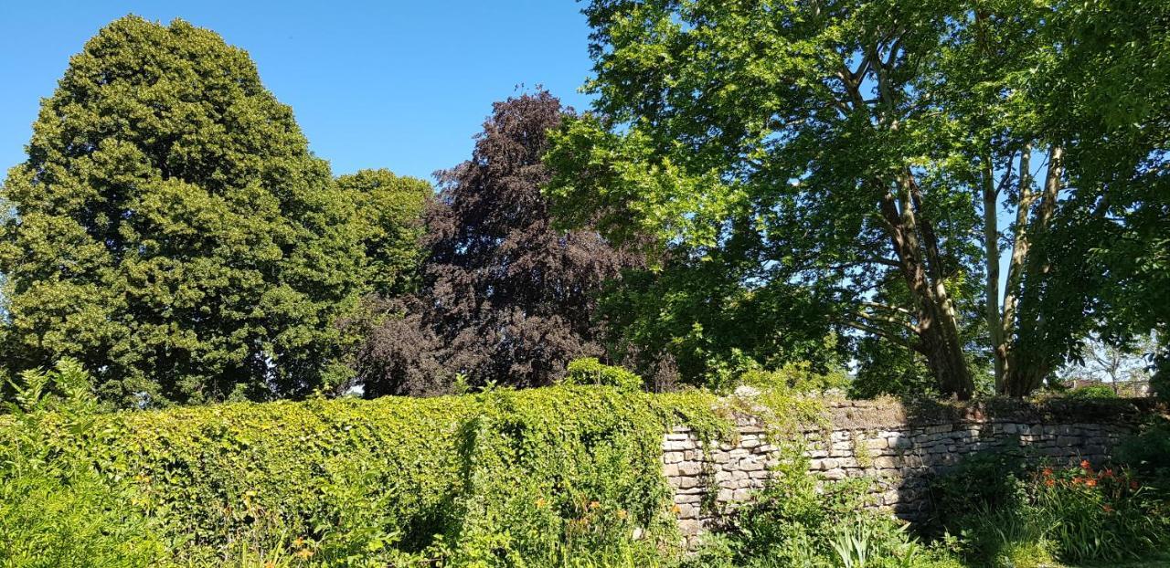 Le 49 Cote Parc & Spa Domblans Eksteriør bilde