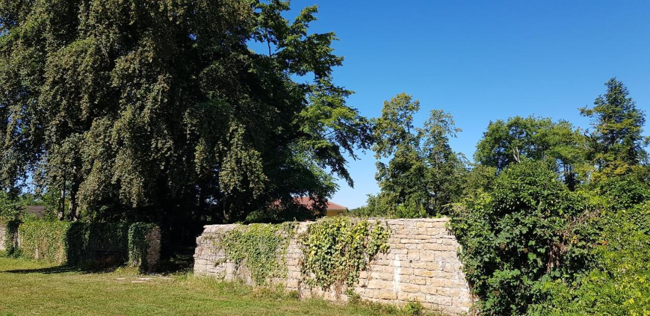 Le 49 Cote Parc & Spa Domblans Eksteriør bilde